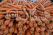 Cenoura - Carrots