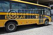 Onibus Escolar - School bus