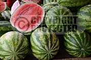 Melancia - Watermelon