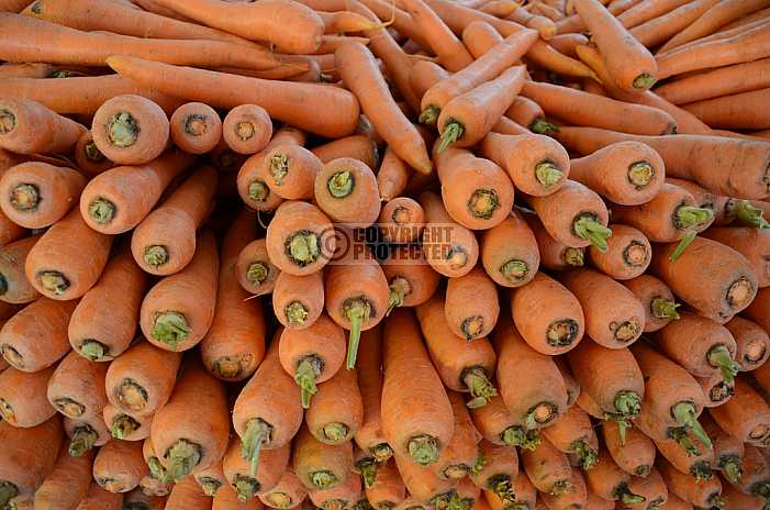 Cenoura - Carrots