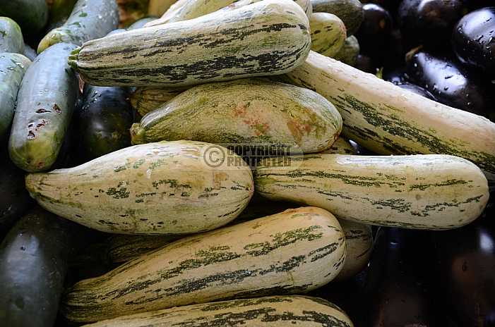 Pepino - Cucumber