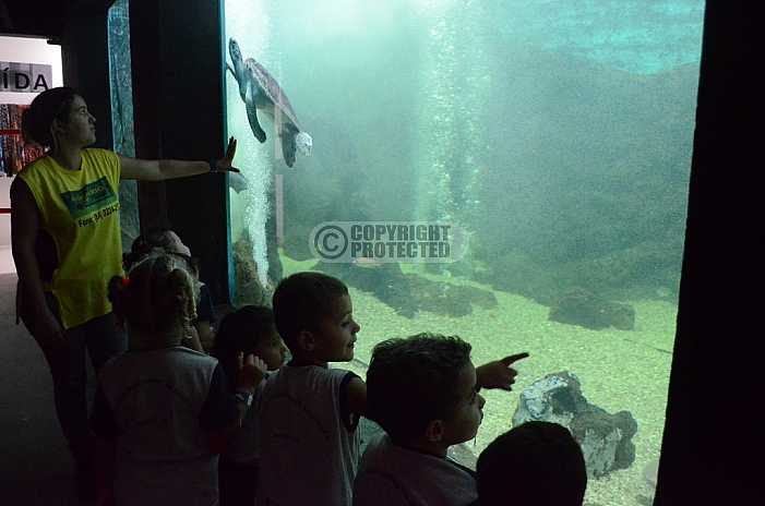 Aquario de Natal - Natal Aquarium