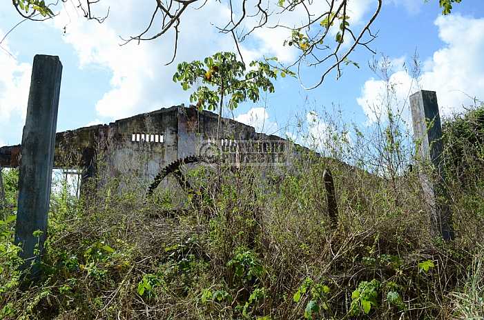 Ruina - Ruin Properties