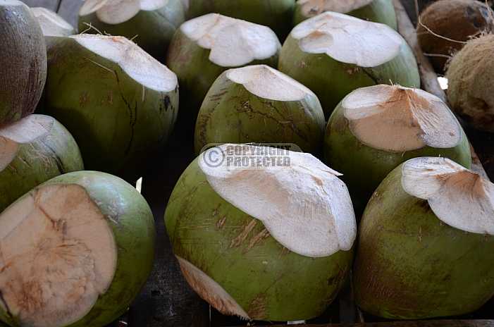 Coco verde -green coconut