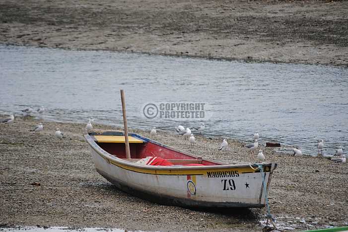 Barcos - Boats