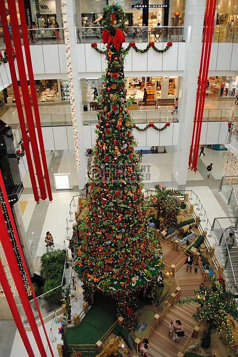 Arvore de natal - Christmas tree
