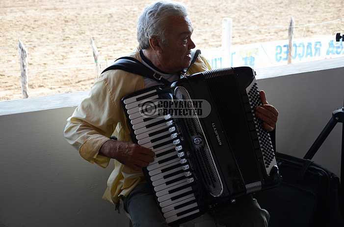 Sanfoneiro - Musician