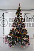 Arvore de Natal - Christmas tree