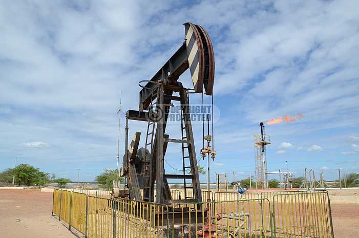 Petroleo - Petroleum