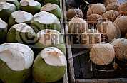 Coco verde -green coconut