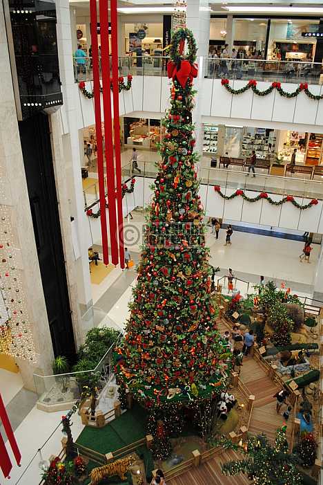 Arvore de natal - Christmas tree