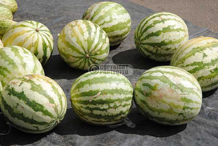 Melancia - Watermelon
